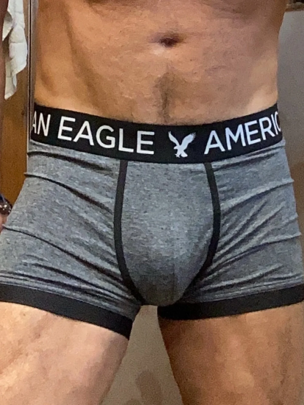 American Eagle gray and black medium trunks